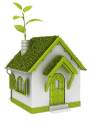 گروه مشاورین خانه لوکس در کیش